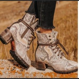 Freebird by Steven White Snake Cavaliers